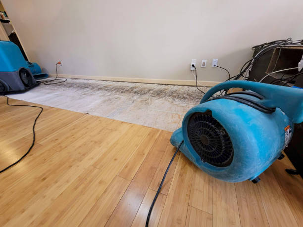 Reliable Basement Flood Cleanup contractor in Milton, WI by Hirex Water Damage