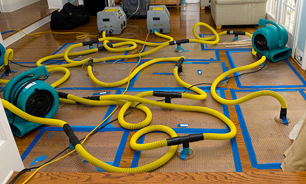 Professional Basement Flood Cleanup technician working in Milton, WI